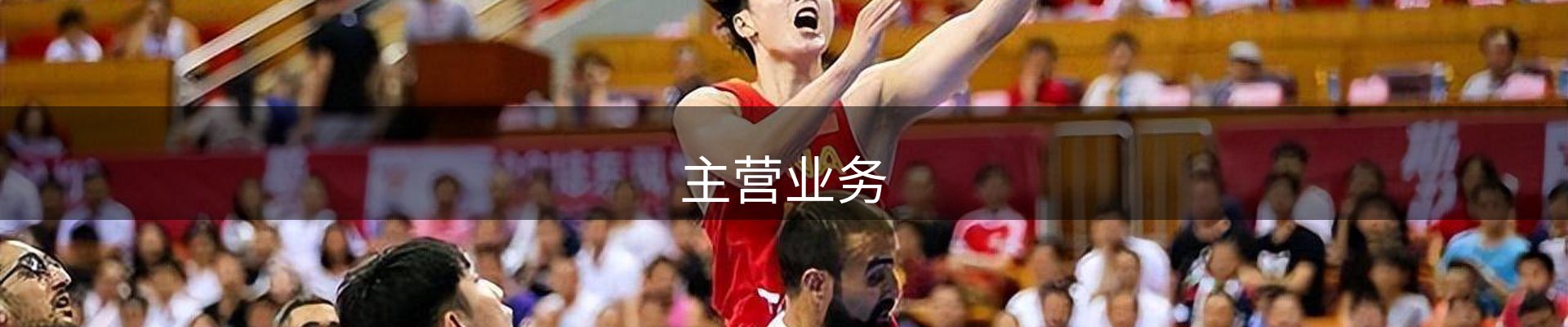 主营业务